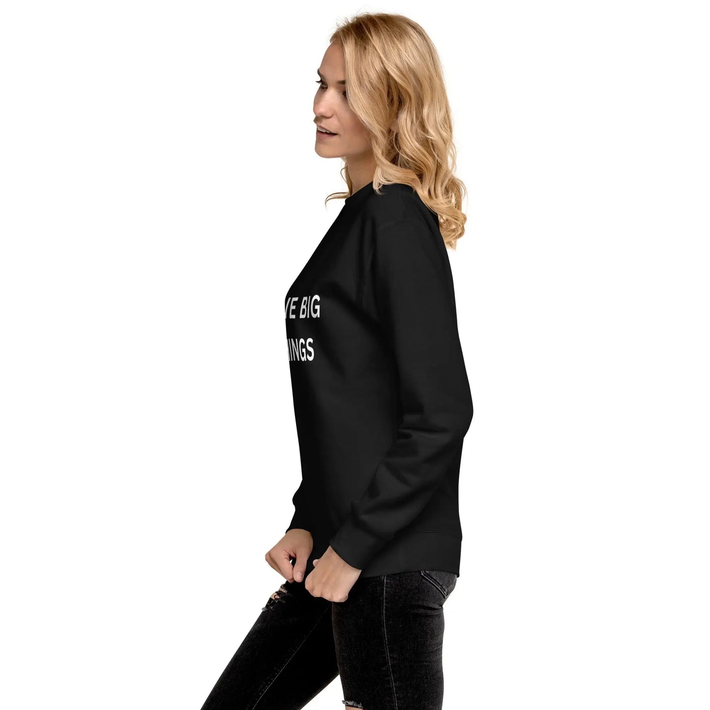i like big things Premium Sweatshirt - Stop and Shop 24